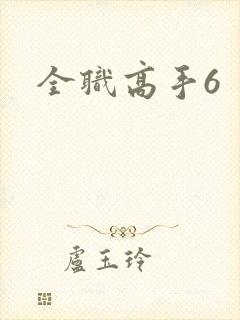 全职高手6