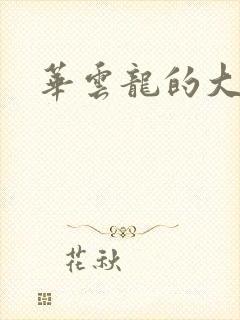 华云龙的大宝贝