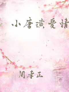 小唐璜爱情历史