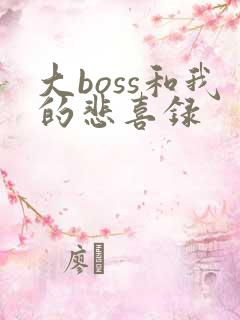 大boss和我的悲喜录