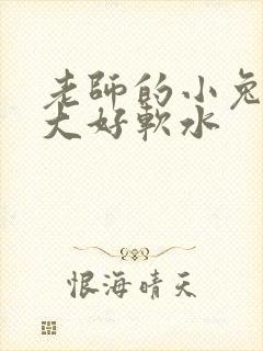 老师的小兔子好大好软水