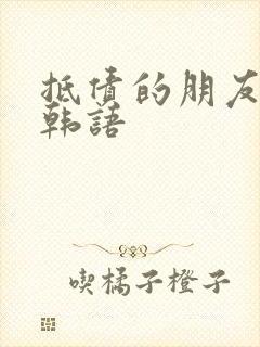 抵债的朋友麦子韩语