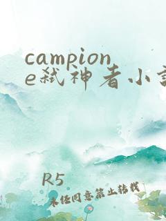 campione弑神者小说