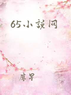 65小说网