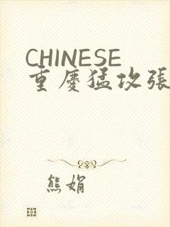 CHINESE重庆猛攻张先生