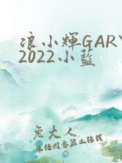 浪小辉GARY2022小蓝