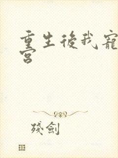 重生后我宠冠东宫