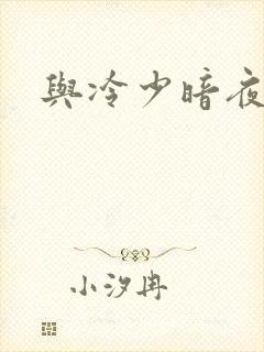 与冷少暗夜孽爱