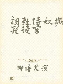 调教侍奴撅臀男宠后宫