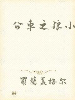 公车之狼小说