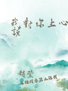 我对你上心了小说