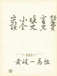 宋小暖言楚行小说全文免费阅读