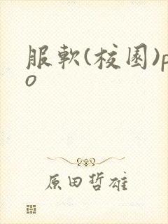 服软(校园)po