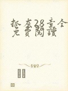 抓灰28章全部免费阅读