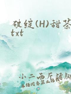 破绽(H)甜茶txt