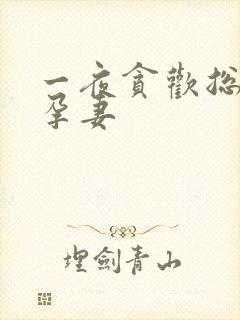 一夜贪欢总裁幸孕妻