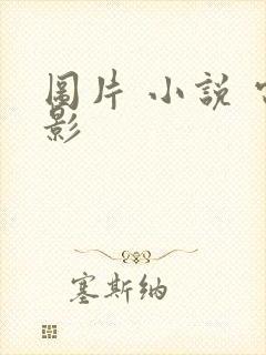 图片 小说 电影