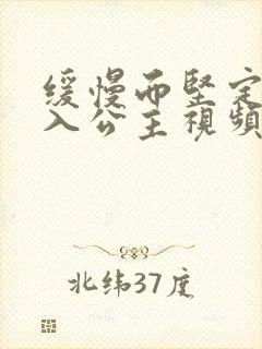 缓慢而坚定地深入公主视频