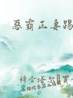 恶霸正妻踢娇妾