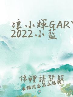 浪小辉GARY2022小蓝
