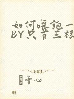 如何喂饱一只猫BY只有三根头发