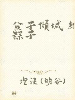 公子倾城 维和粽子