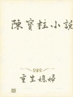 陈宝柱小说
