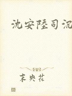 沈安陆司沉小说