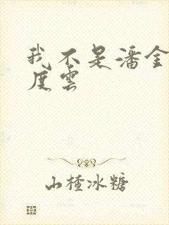 我不是潘金莲百度云