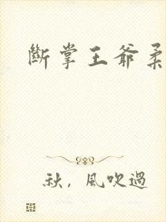 断掌王爷柔水妃