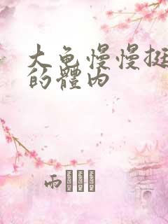 大龟慢慢挺进我的体内