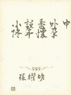 小说番外中结局佟年怀孕