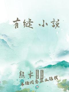 有缝 小说