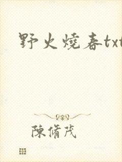 野火烧春txt