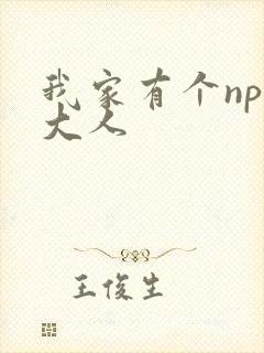 我家有个npc大人