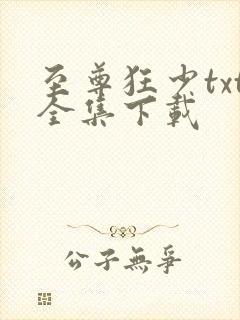 至尊狂少txt全集下载