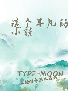 这个平凡的男子小说