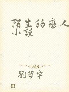 陌生的恋人原著小说
