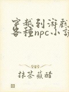 穿越到游戏里和各种npc小说