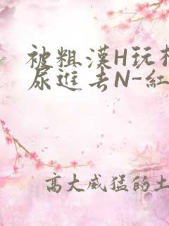 被粗汉H玩松了尿进去N-红-Q