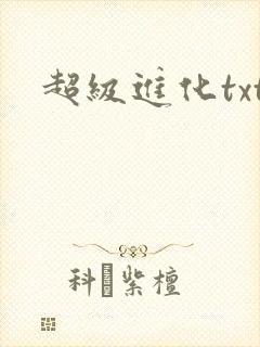超级进化txt