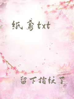 纸鸢txt