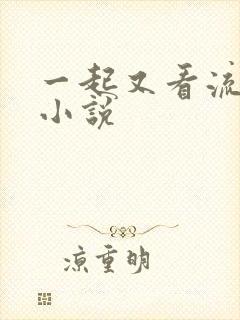 一起又看流星雨小说