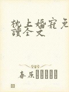 枕上婚宠免费阅读全文