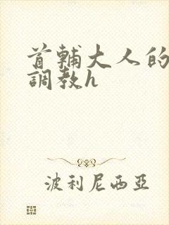 首辅大人的花式调教h