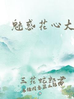 魅惑花心大少