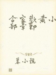 合家欢黄小梅全部章节