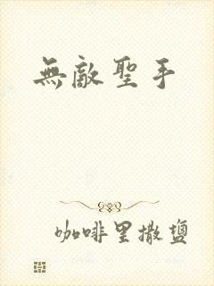 无敌圣手