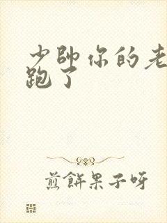 少帅你的老婆又跑了