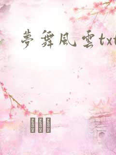 梦舞风云txt